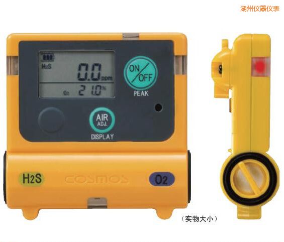 湖州復合型氣體檢測器