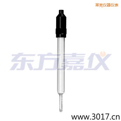 萊蕪玻璃外殼無溫補兩線電導(dǎo)率電極