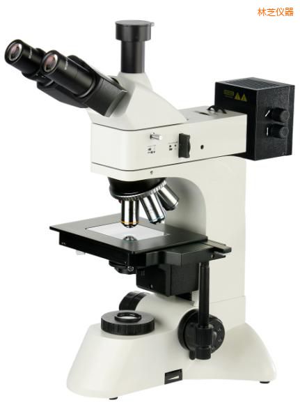 ��֥͸��������@΢�R