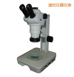 �H���r(sh��)���wҕ�@΢�R