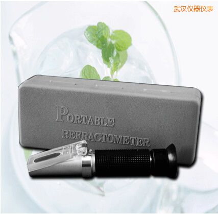 武漢手持式食鹽/鹽度快速測(cè)定儀