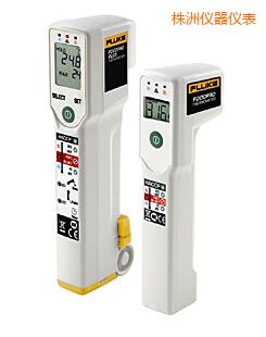 株洲食品安全測(cè)溫儀